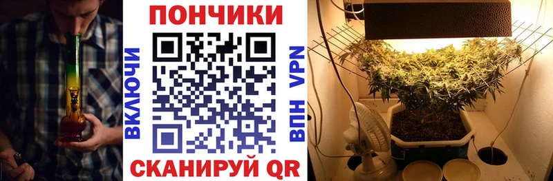 закладка  hydra   Шишки марихуана VHQ  Староминская 